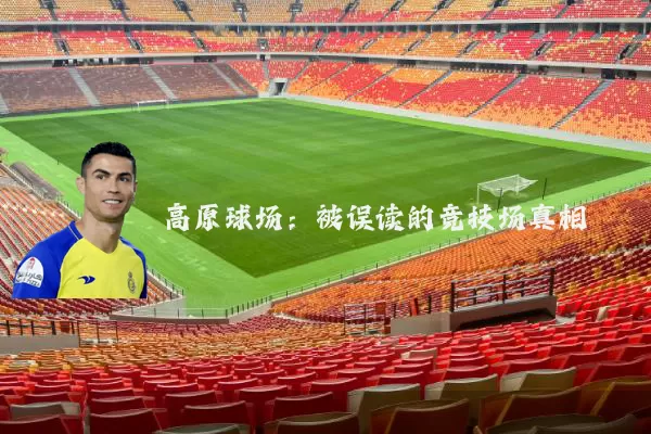 高原球场:被误读的竞技场真相